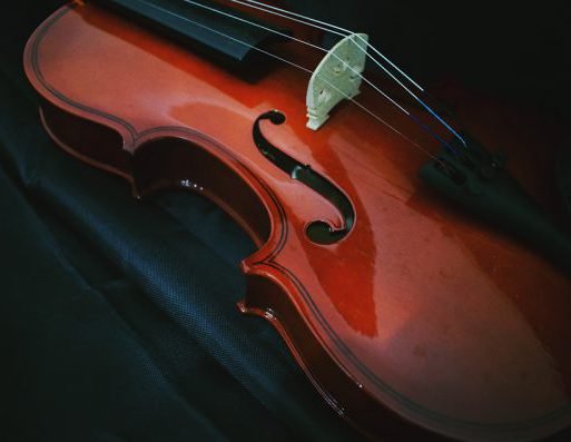 工作范围-我们能为您做些什么？